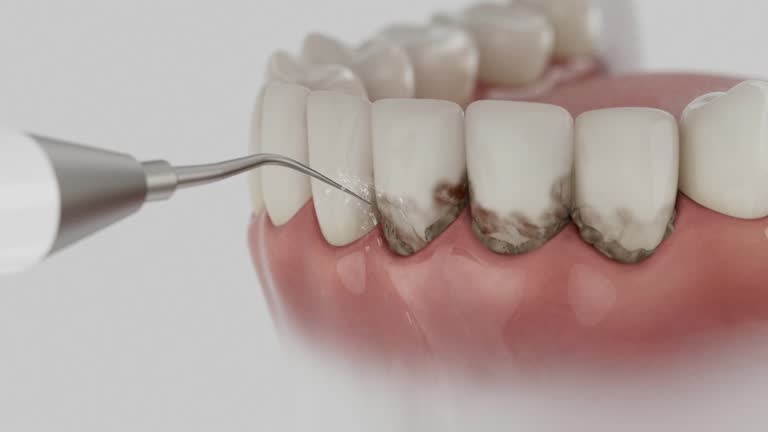Reliable Dental contractor in Merrill, WI by Dentist Open Now